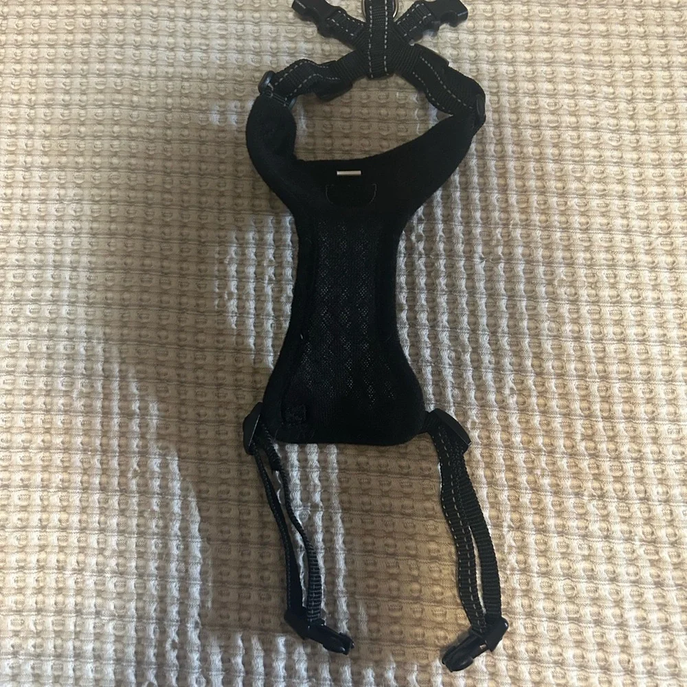 Comfortable Black Cat Harness